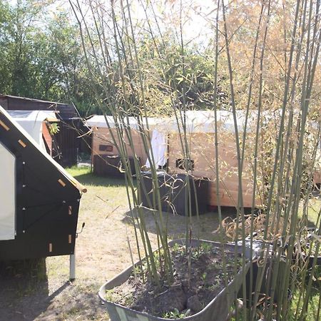 Strandgutkoje Auf Dem Campingplatz Strandgut Cuxhaven Eksteriør billede
